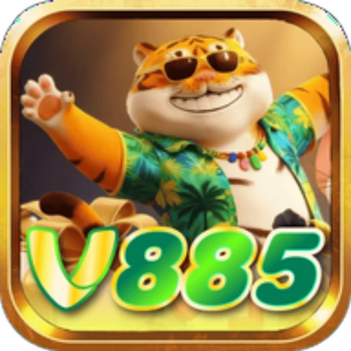 v885.com